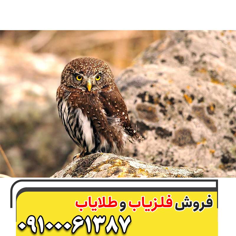 هفت نماد اصلی دفینه یابی در ایران باستان09100061387