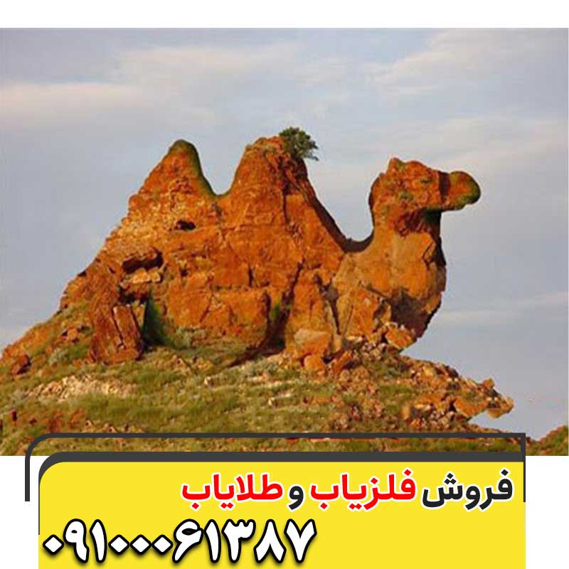 نماد شتر در گنج یابی09100061387