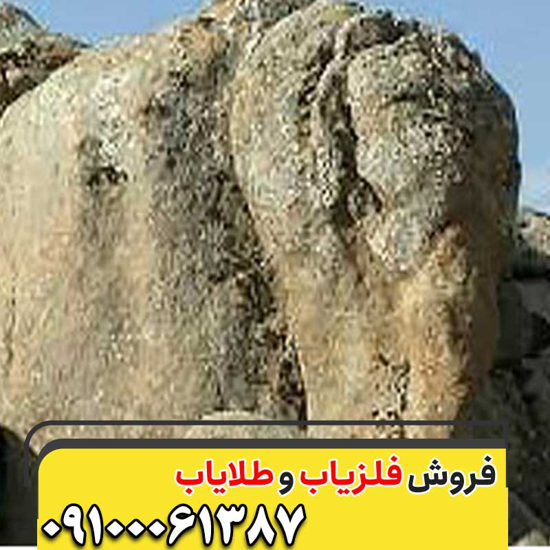 نماد فیل در گنج یابی09100061387
