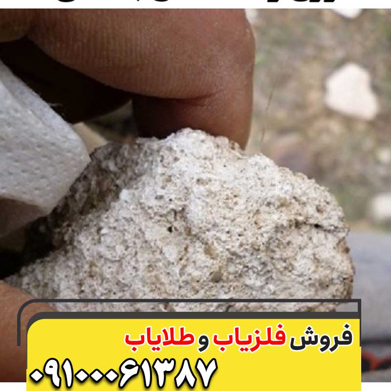 ساروج و کشف گنج‌ باستانی09100061387