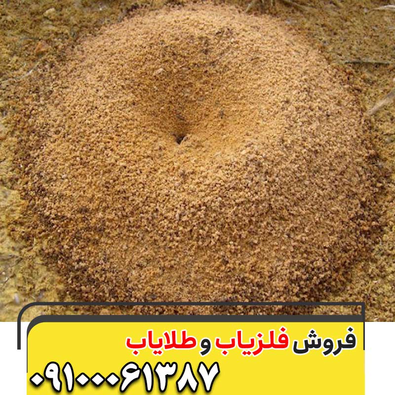 نماد مورچه در گنج یابی 09100061387