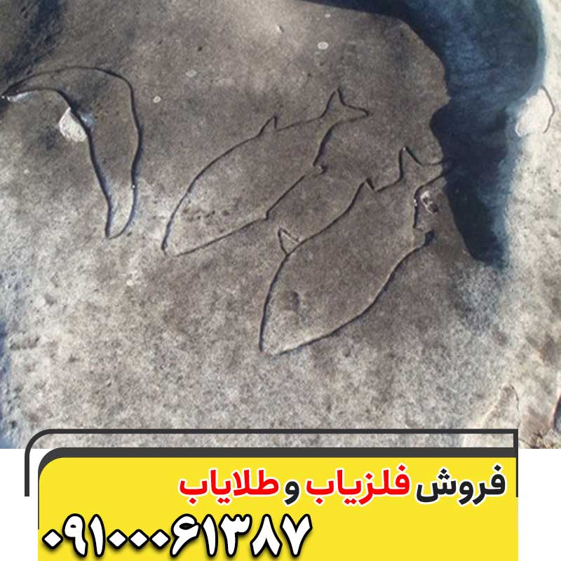 نماد ماهی در گنج یابی 09100061387