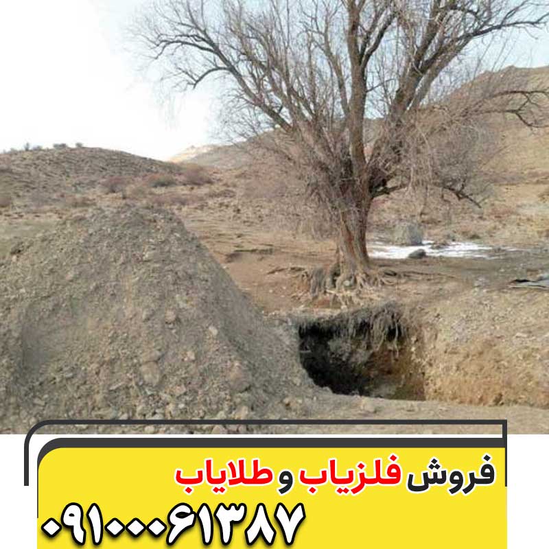نماد درخت در گنج یابی09100061387