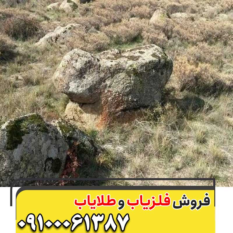 نماد پرنده در گنجیابی09100061387