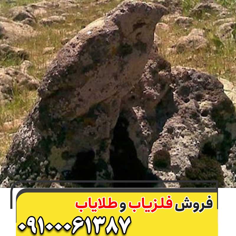 نماد پرنده در گنجیابی09100061387