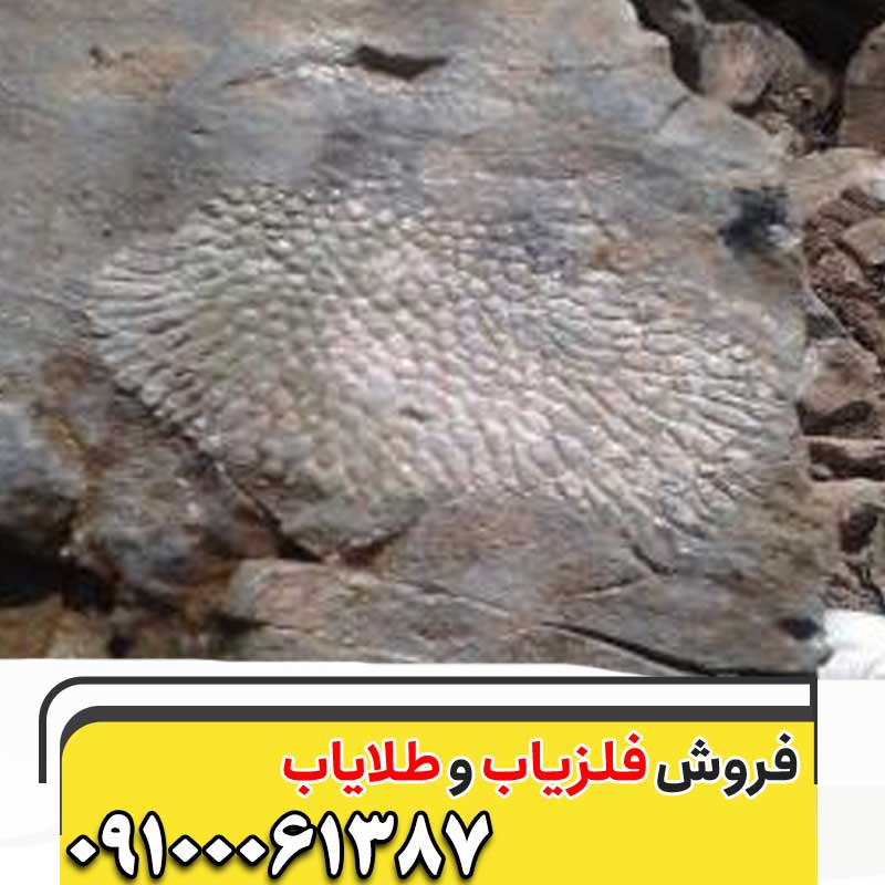 نماد طاووس دردفینه یابی09100061387