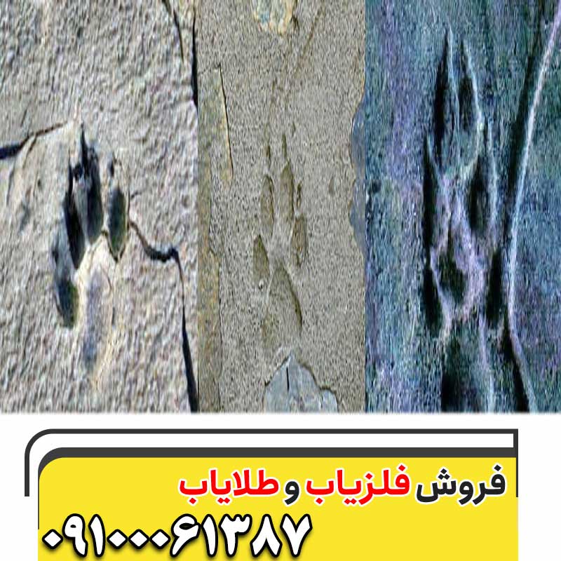 نماد ردپای سگ در گنجیابی09100061387