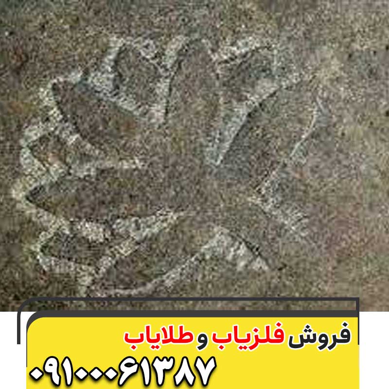 نماد گل در گنج یابی و دفینه یابی 09100061387