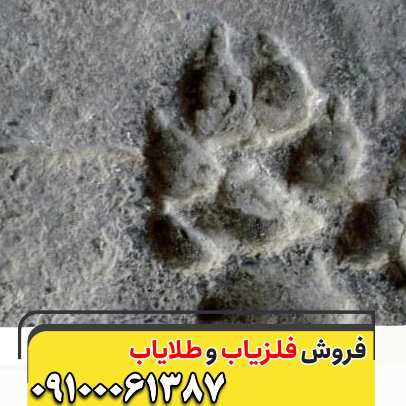 نماد ردپای سگ در گنجیابی09100061387