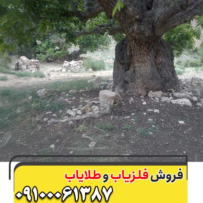 نماد درخت در گنج یابی09100061387
