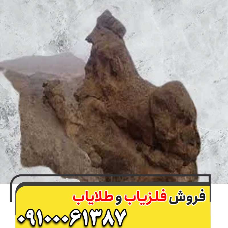 نماد خروس در گنج یابی09100061387