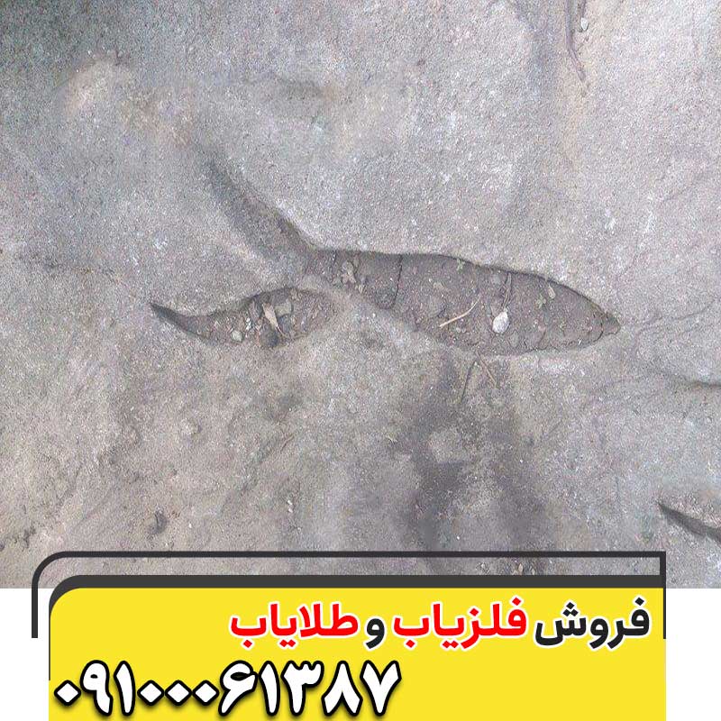 نماد ماهی در گنج یابی 09100061387