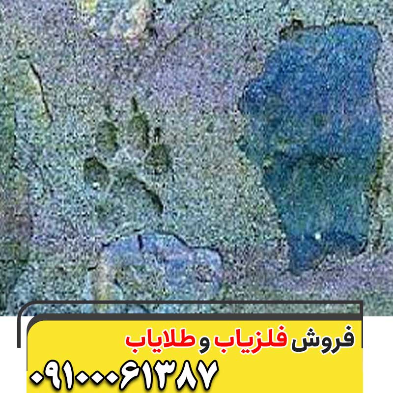 نماد ردپای سگ در گنجیابی09100061387