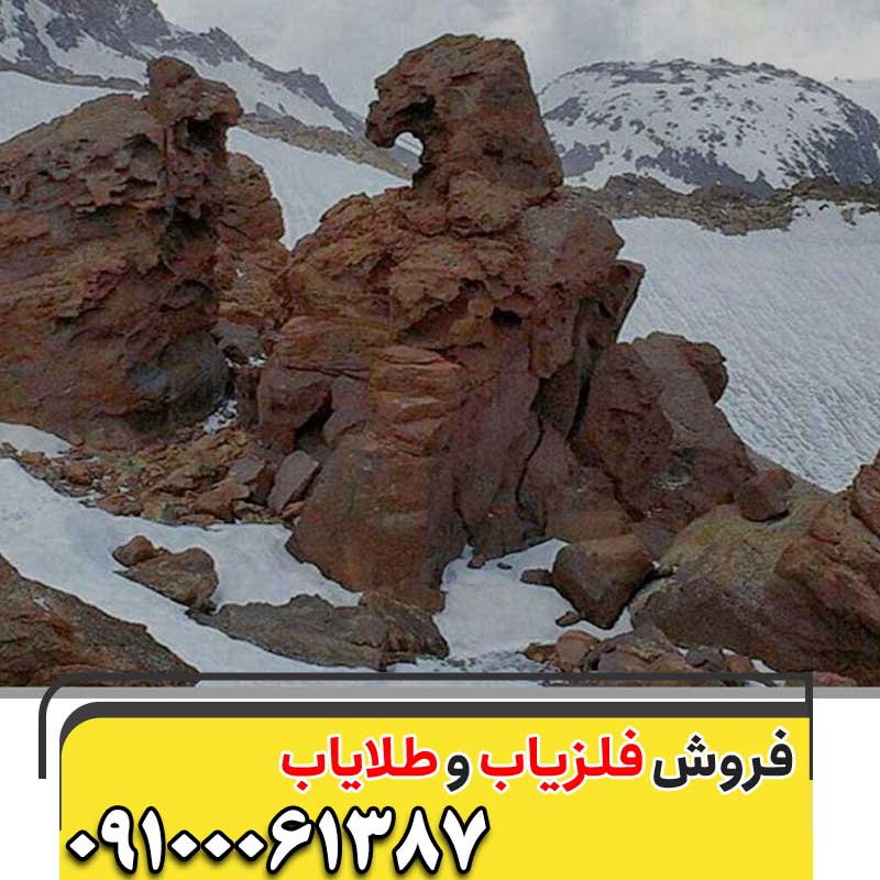 نماد پرنده در گنجیابی09100061387