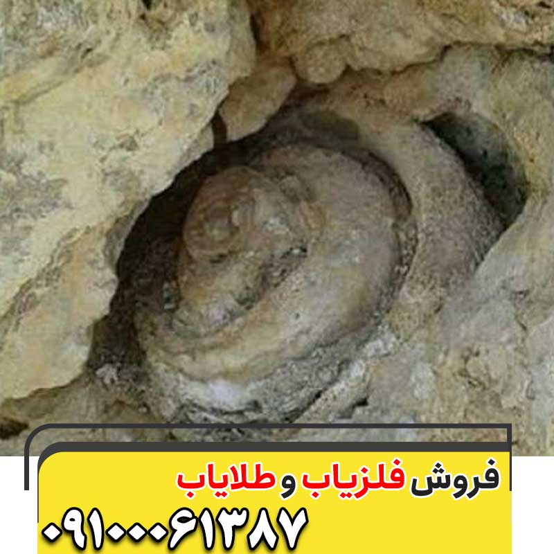 نشانه حلزون در گنج یابی 09100061387