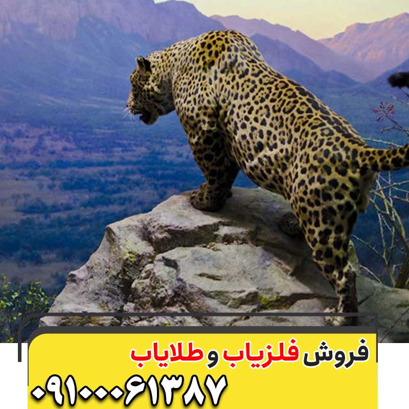 نماد پلنگ در گنج یابی09100061387