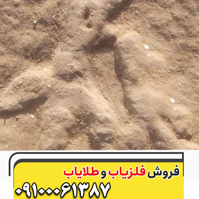 نماد پای مرغ در گنجیابی09100061387