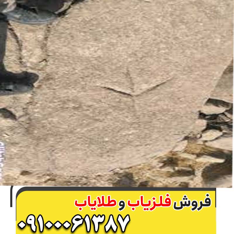 نماد پای مرغ در گنجیابی09100061387