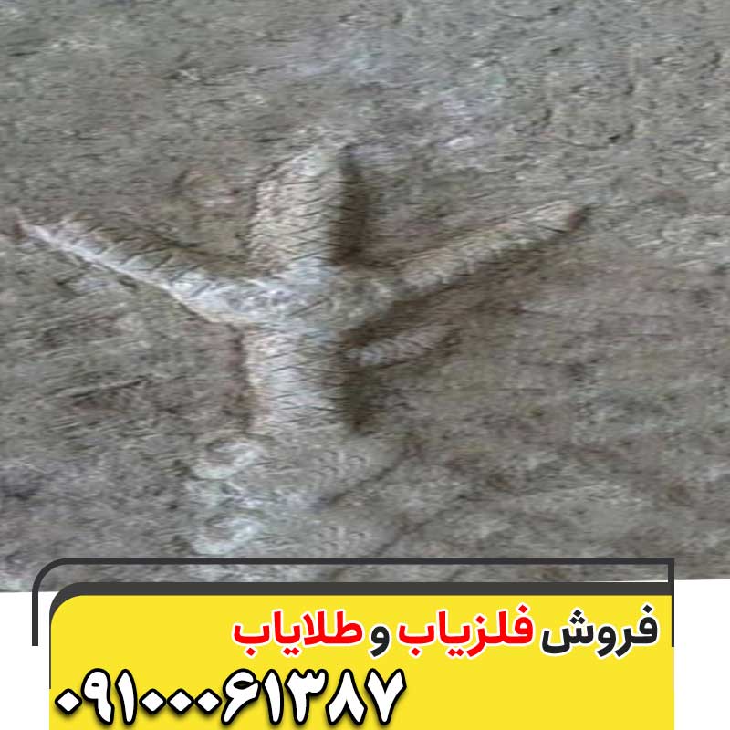 نماد پای مرغ در گنجیابی09100061387