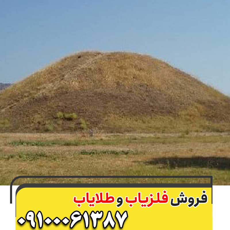 تشخیص تومولوس در گنجیابی چگونه است؟09100061387