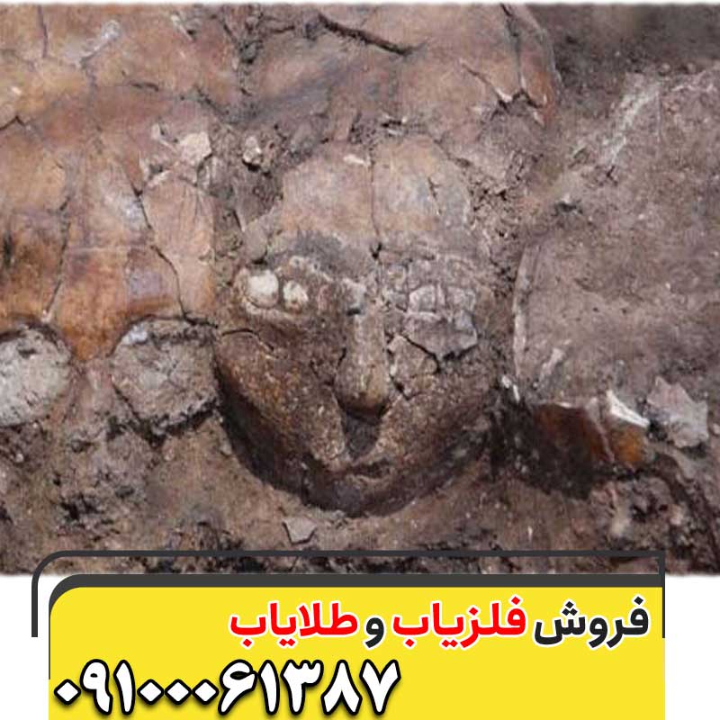 نماد جمجمه در گنجیابی09100061387