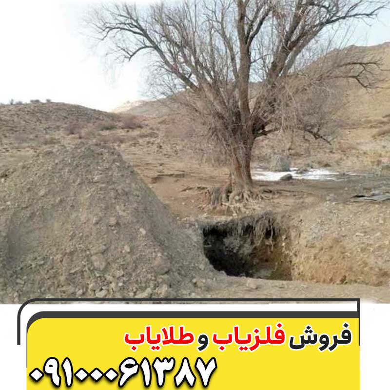 عمق دفینه درخت گردو09100061387