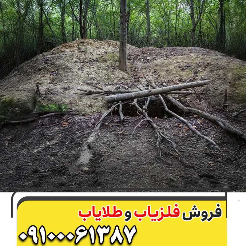 عمق دفینه درخت گردو09100061387