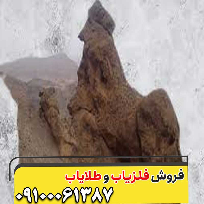 نماد خروس در دفینه یابی